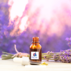 Lavendar Essential Oil