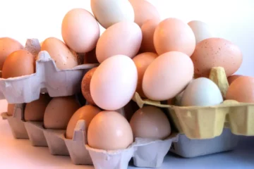 Farm Fresh Eggs: Why Are They Better?