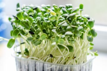 Why Microgreens?