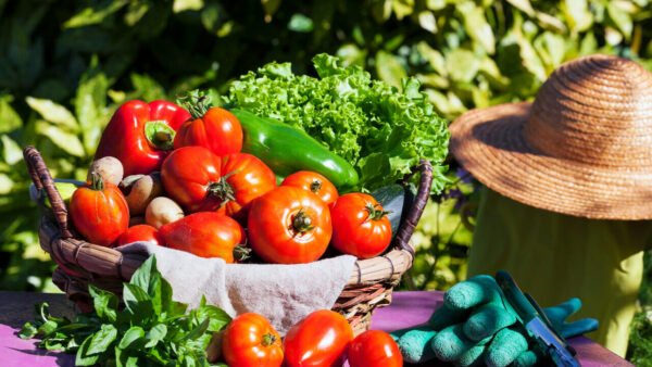 Spring and Summer Vegetables